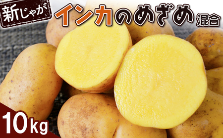 【新じゃが】インカのめざめ混合10kg【83000802】