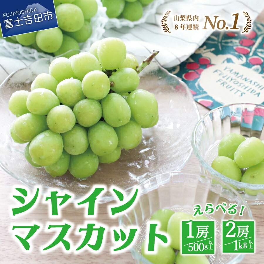 【ふるさと納税】 シャインマスカット 数量限定 選べる内容量 お試し 500g 1kg以上 選べるお届け回数 2回 3回 定期便 期間限定 送料無料 フルーツ 果物 ぶどう ブドウ マスカット ふるさと納税 厳選 ジューシー 甘さ抜群 山梨 富士吉田市 《 2025年発送 》