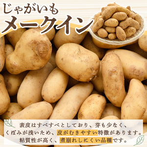 <先行予約受付中!2026年5月下旬以降順次発送予定>訳あり!じゃがいも「メークイン」(約5kg) じゃがいも ジャガイモ 芋 国産 野菜 期間限定 数量限定【古田果樹園】akn093-01