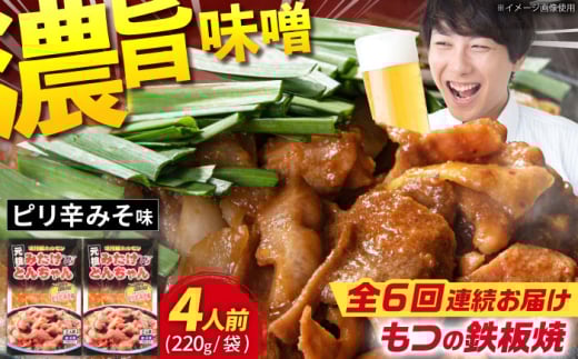 【6回定期便】岐阜県産豚もつの鉄板焼き「元祖みたけとんちゃん」ピリ辛みそ味（4人前） / モツ もつ 白もつ ホルモン / 御嵩町 / 藤よし [AVAA025]