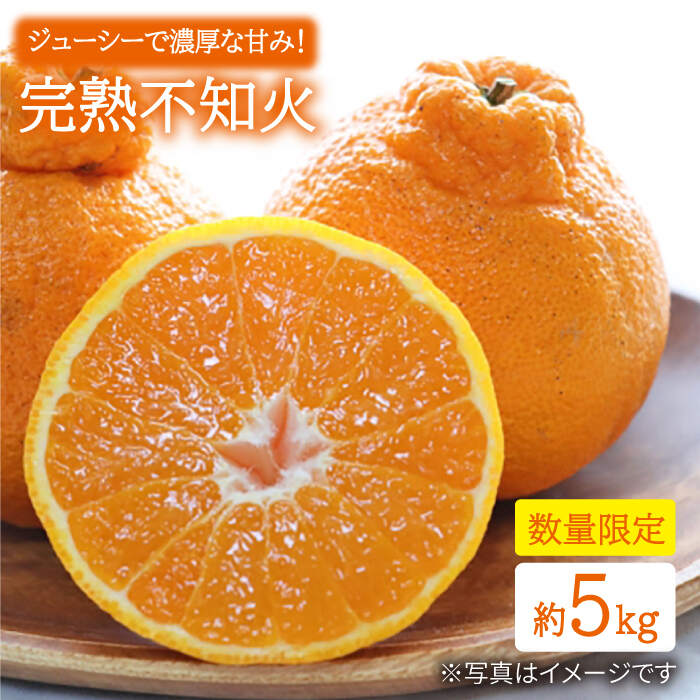 【ふるさと納税】【3月下旬より順次発送】【贈答用にも☆】 屋根かけ完熟 不知火 約5kg ＜中尾果樹園＞ [CEL003] 長崎 西海 ミカン 蜜柑 果物 フルーツ 柑橘 デザート 完熟 果汁 おやつ お土産 プレゼント 贈答 でこぽん デコポン