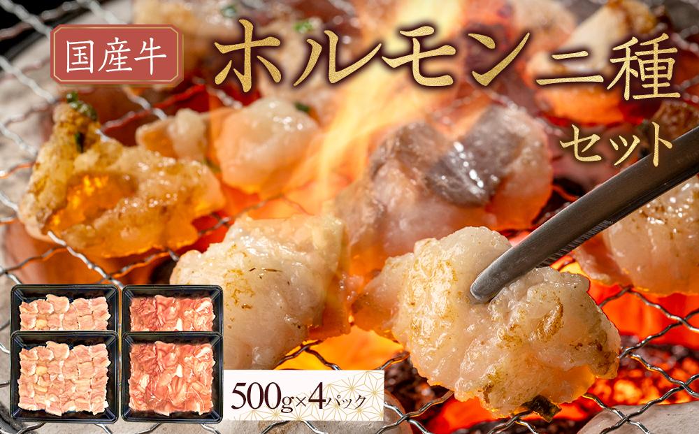 国産牛　ホルモン二種セット2000g 372013_HM147