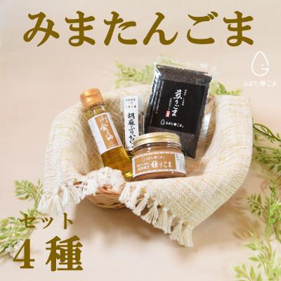 ふるさと納税 三股町 みまたんごま 4種セット【A-1401】