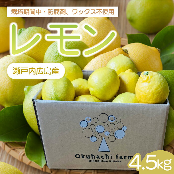 【ふるさと納税】【おくはち農園】レモン 4.5kg 《2026年11月～2027年3月発送予定》栽培期間中 防腐剤 ワックス 不使用 旬 柑橘 かんきつ フルーツ 果物 166022