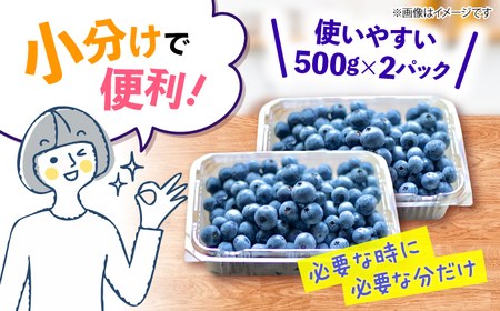 【6月より順次発送】 ブルーベリー 1kg＜広津農園＞[CBN008] ブルーベリー ブルーベリー ブルーベリー ブルーベリー ブルーベリー ブルーベリー