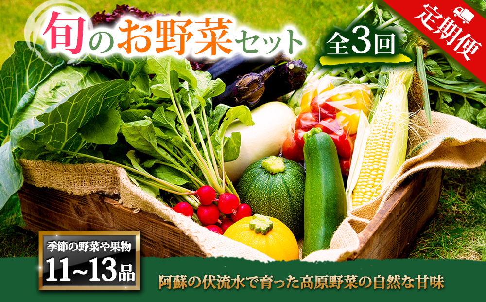 【定期便 全3回】<畑から直送>季節のお野菜セット XLサイズ  野菜 11〜13品  詰め合わせ 新鮮 減農薬 高原 旬 産地直送 採れたて 甘い 美味しい 人気 安心 安全 熊本県 阿蘇市