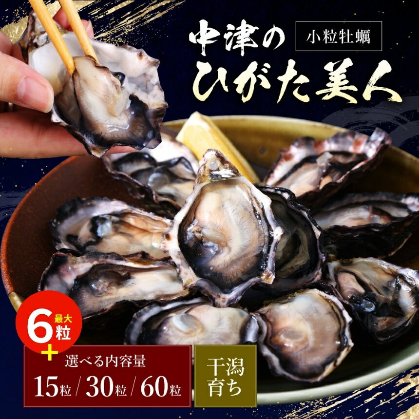 【ふるさと納税】【期間限定】中津ひがた美人 牡蠣 選べる 内容量 17粒 / 33粒 / 66粒 養殖 | 冷蔵 かき オイスター 酒の肴 つまみ おかず 大分県産 九州産 国産 大分県 中津市 送料無料＜発送期間：令和7年12月～令和8年4月末までの予定＞