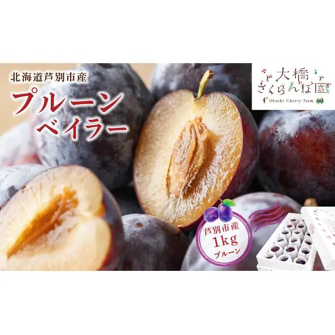 プルーン 1kg 北海道 プルーン ベイラー 生 フルーツ