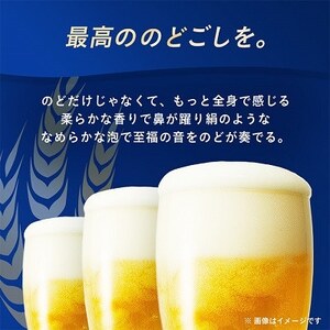 オリオンビール オリオン サザンスター(350ml×24本)【1629250】