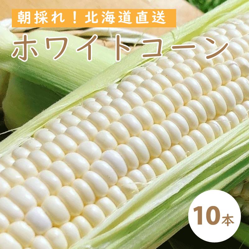 【ふるさと納税】 2025年予約 ホワイトコーン 有機栽培 無農薬 無化学肥料 北海道 甘い とうもろこし トウモロコシ コーン 北海道産 野菜 アサンテファーム 朝採り 朝採れ 新鮮 旬 コーン 数量限定 送料無料 当麻町 お取り寄せ