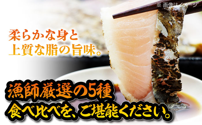 【鮮度革命】 こだわり冷凍保存！豪華海の幸バラエティ5種セット 魚 料理 和食 簡単 レシピ 魚介類 海産物 海鮮 刺身 ギフト 江田島市/秋宝丸 [XCK004]