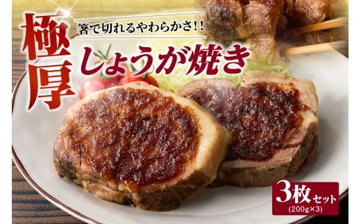 極厚しょうが焼き　３枚セット