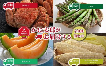 26年5月発送開始 かに太郎 定期便Dセット（毛ガニ、アスパラ、赤肉メロン、白くまコーン）全4回 | 定期便 北海道_01599
