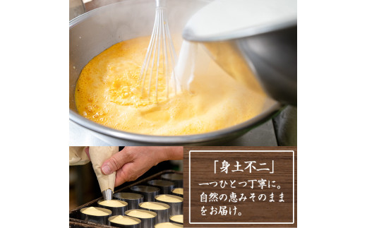 濃厚で芳醇！ふんわりかるーい♪チョコレートケーキ＜半生ちょこ 20個（10個×2箱）＞1口サイズ チョコレートケーキ 冷凍 個包装 チョコレートケーキ【00-014-01】