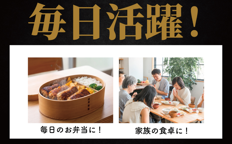 ハンバーグ 20個 計2kg 100g × 4個 × 5セット はんばーぐ 大容量 豚肉 牛肉 牛 豚 肉 合い挽き肉 冷凍 冷凍食品 簡単調理 焼くだけ お弁当 おかず 遠足 夕食 便利 簡単 こど