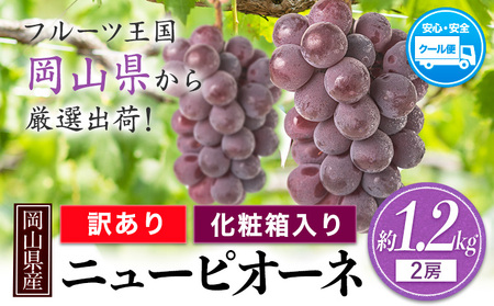 【先行予約】ピオーネ ぶどう 葡萄 岡山県産 訳あり ニューピオーネ 約1.2kg 2房《2025年9月中旬～11月上旬頃に出荷予定(土日祝除く)》 ｜ 果物 訳あり 優品 フルーツ 岡山 矢掛ﾋﾟｵｰﾈﾆｭｰﾋﾟｵｰﾈぶどう