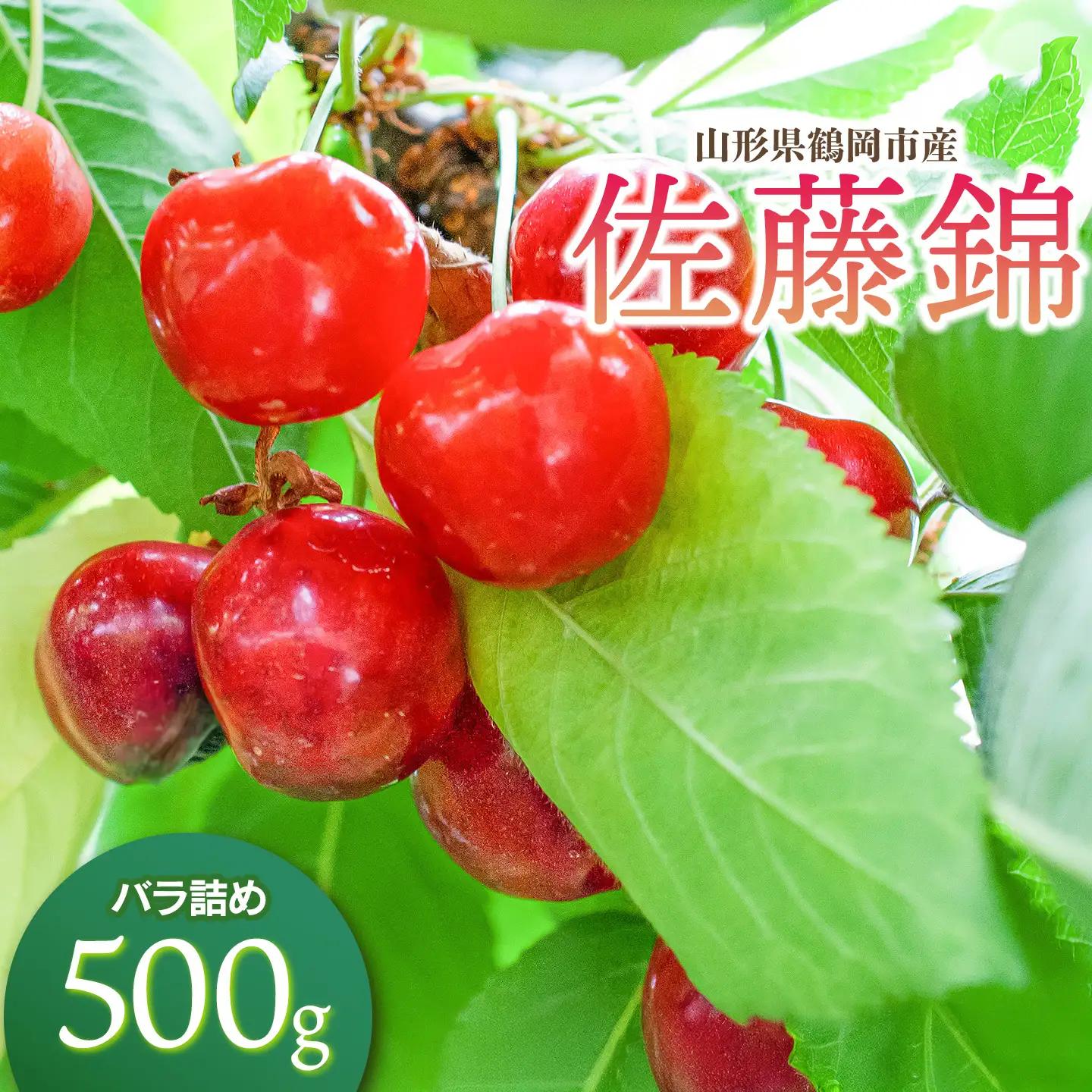 【令和9年産】さくらんぼ 佐藤錦 Lサイズ バラ詰め 500g 山形県鶴岡産 鈴木弥吉さくらんぼ園 K-935