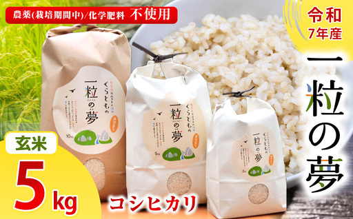 玄米 コシヒカリ 5kg 農薬 ( 栽培期間中不使用 )・ 化学肥料不使用 令和7年産 米