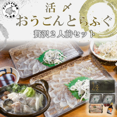 活〆おうごんとらふぐ贅沢2人前セット【配送不可地域：離島】【1219243】
