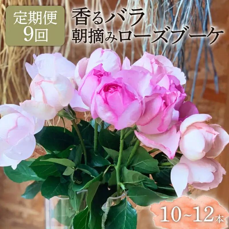 【9ヶ月定期便】 バラ 花束 ブーケ 朝摘み 薔薇 花 定期便 母の日