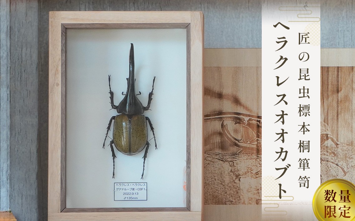 
                  【数量限定】匠の昆虫標本桐箪笥「ヘラクレスオオカブト」 ／ 標本箱 伝統工芸 レーザー加工 広島県 特産品 No.577
                