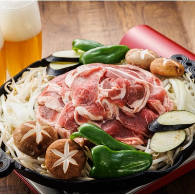 【毎月定期便】ラム肉 スライス 100g×10パック(合計1kg)全12回【配送不可地域：離島】