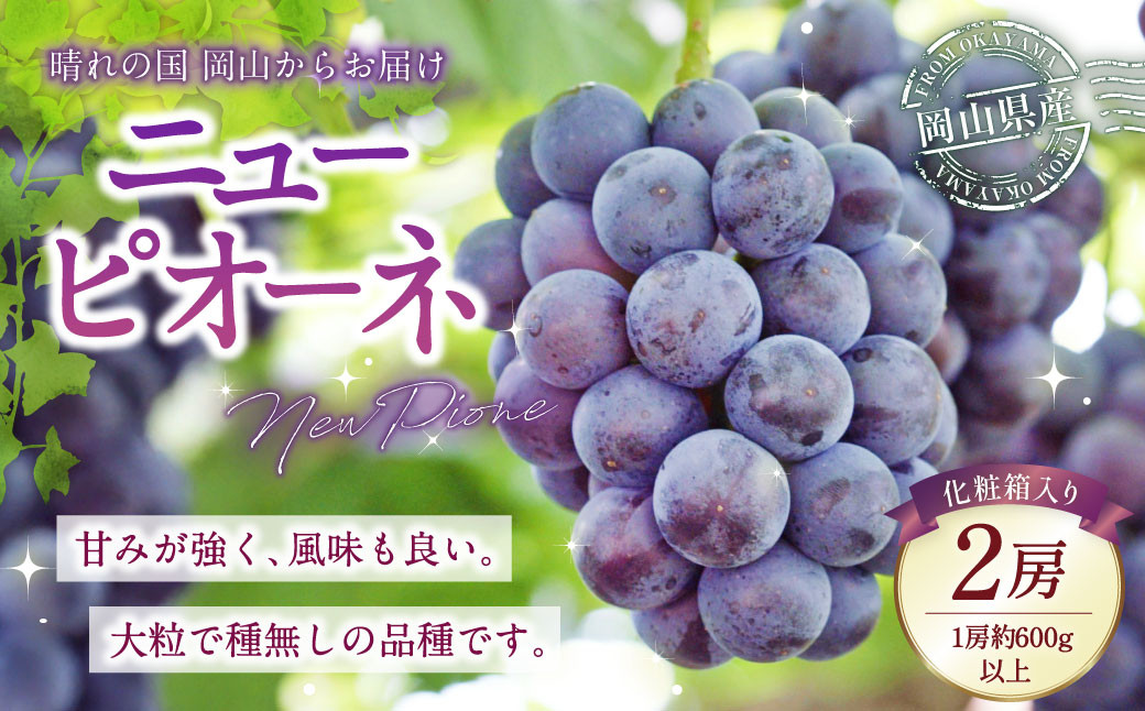
                  岡山県産 ニューピオーネ 2房 （1房600g以上） 化粧箱入り 【2026年8月下旬-10月上旬迄発送予定】 ／ 葡萄 ぶどう 果物 果実 フルーツ 種なし 岡山県 美咲町 冷蔵
                