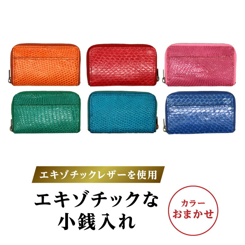 【ふるさと納税】エキゾチックレザーを使用「エキゾチックな小銭入れ」 コインケース 小銭入れ ミニウォレット ミニ財布 本革 レザー ギフト プレゼント レディース メンズ