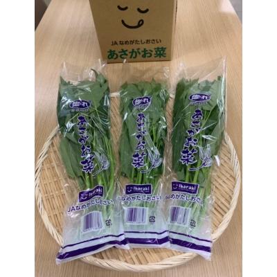 ふるさと納税 行方市 「あさがお菜(空芯菜)」100g×20袋