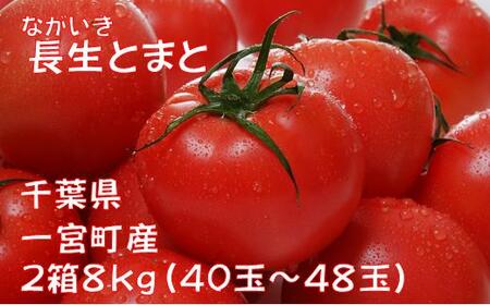 長生（ながいき）とまと2箱（40～48個（約8kg））　先行予約