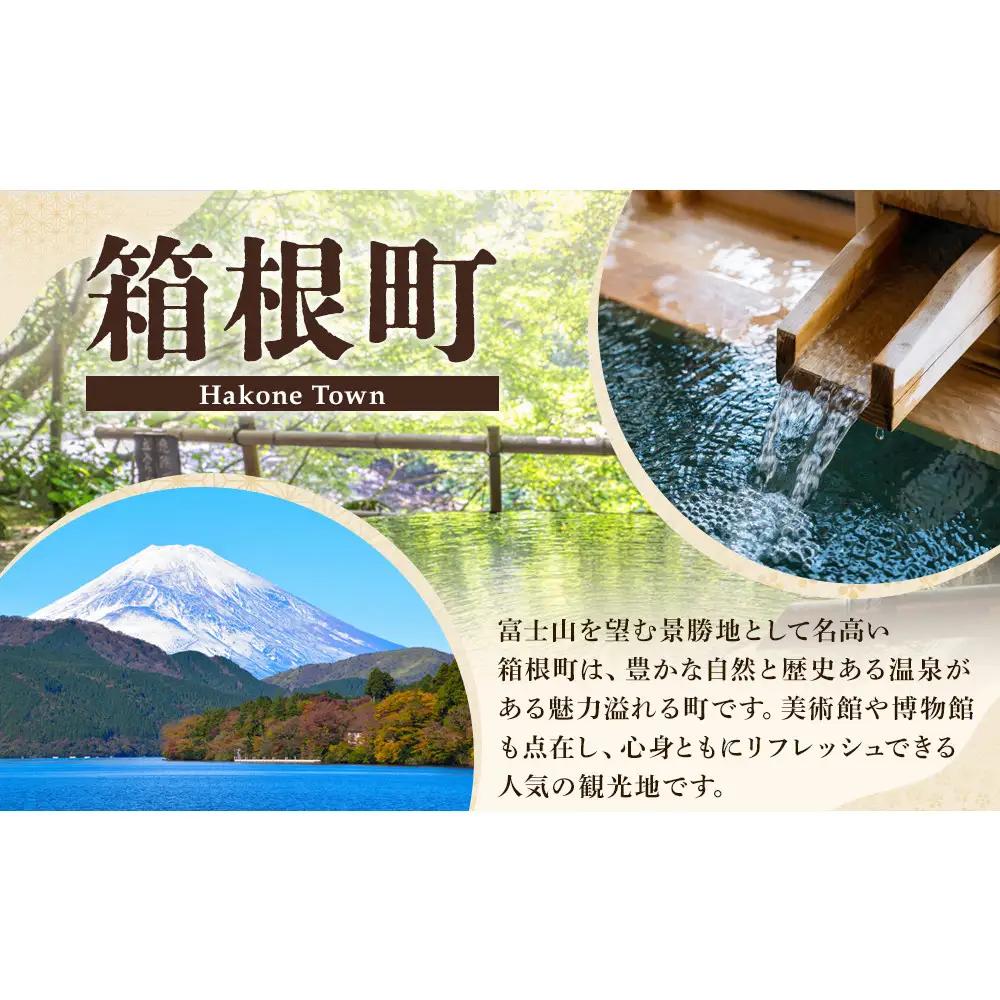 2027年芦ノ湖遊漁年間チケット（電子遊漁券）