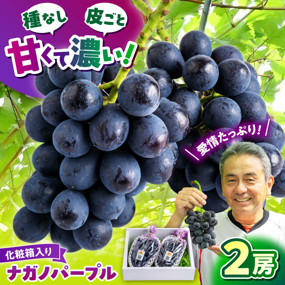 【ふるさと納税】山鹿市産 ナガノパープル 2房（約800g〜1.2kg） 箱入り[ZDS003]