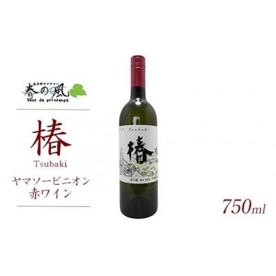 ふるさと納税 春日井市 春日井ワイナリ-春の風 (椿)ヤマソービニオン赤ワイン 750ml