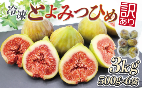 福岡県産いちじく「とよみつひめ」　冷凍パック3kg（500g×6袋）[H2328]