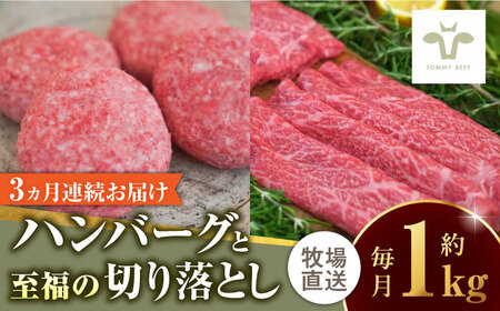 【牧場直送】【全3回定期便】佐賀牛100％ハンバーグ4個と至福の切り落とし500g / 佐賀県 / 有限会社佐賀セントラル牧場 [41ASAA212]