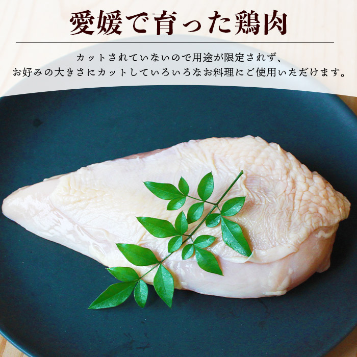 ＜【3ヶ月定期便】銘柄鶏 浜千鶏 愛媛県産 若鶏むね肉 5kg（1kg×5）＞ 国産 鶏肉 大容量 業務用 家庭用 鳥肉 とり チキン ムネ はまちどり 精肉 塊 ブロック 定期便 産地直送 マルハフ