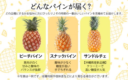2026年 先行予約 完熟 パインアップル 約3kg 水鴨農園 パイン パイナップル 果物 フルーツ 約3kg