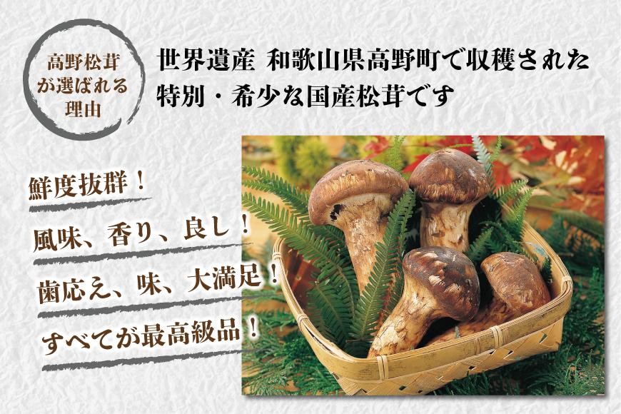 【2025年発送分】香り・歯応え・味ともに最高級！希少な国産松茸「高野松茸」300g【化粧箱入】