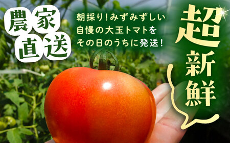 大玉トマト(贈答用) 4kg 産地直送 とまと トマト 恵那市 / クリエイティブファーマーズ [AUAH013]