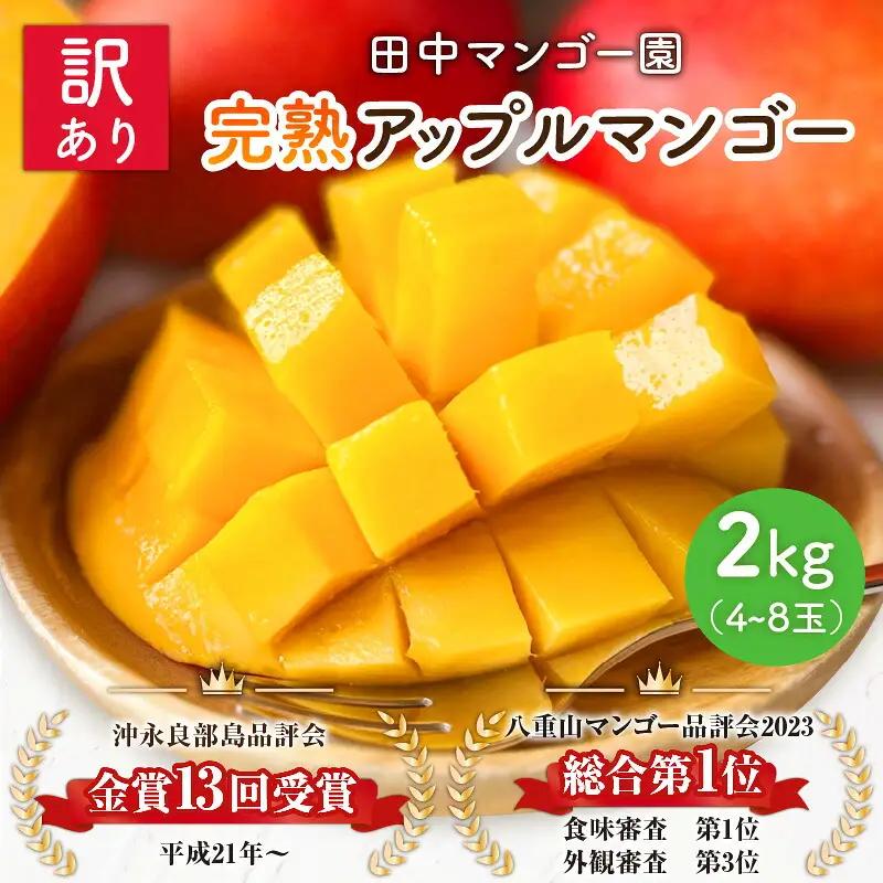 【 2027年 先行予約 】 訳あり 田中マンゴー園 完熟 アップル マンゴー 約 2kg（ 4～8玉 ）（ ご家庭用 ） W001-008u わけあり 果物