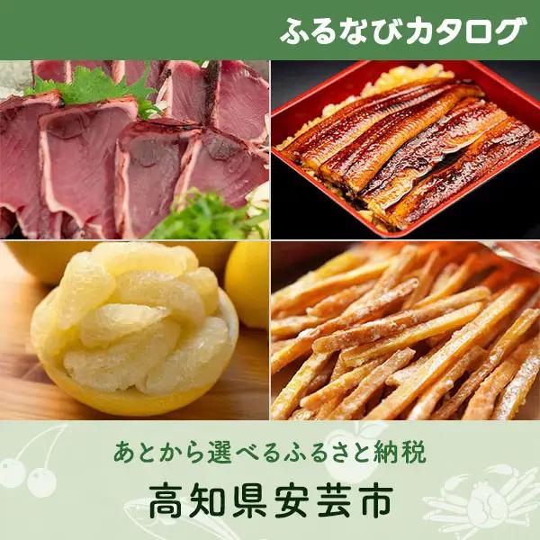 【有効期限なし！後からゆっくり特産品を選べる】高知県安芸市カタログポイント