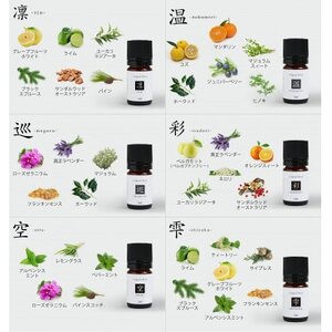 【発送月固定定期便】ease12ヶ月のブレンドオイル　5ml×3本　+ストーンMONO　1個全4回【配送不可地域：沖縄県】【4050206】