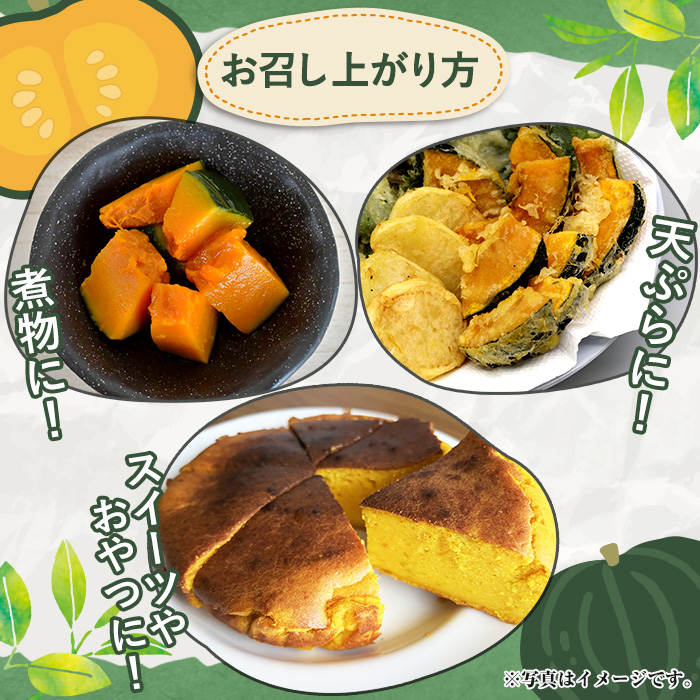 ＜2025年5月以降発送予定＞鹿児島県産 味平かぼちゃ(約5kg) 国産 野菜 かぼちゃ カボチャ 南瓜 煮物 天ぷら バーベキュー BBQ スイーツ お菓子【松永青果】a-16-29