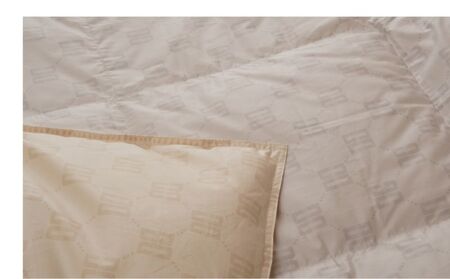 シングルサイズ羽毛肌掛けふとん　ダックス　DK521122L-20　寝具　ふとん　布団　羽毛　肌掛け布団　高級ふとん