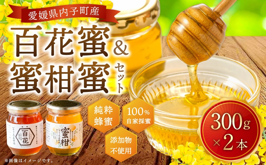 
百花蜜 & 蜜柑蜜 セット（各300g） 計600g はちみつ ハチミツ 蜂蜜 100% 純粋 ピュア ハニー 蜜 国産はちみつ ミカン蜜 お取り寄せ 国産 愛媛県 【えひめの町（超）推し！（内子町）】（369）
