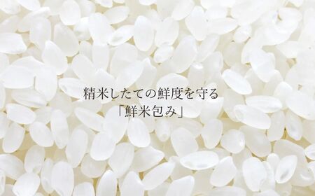 【先行予約】令和7年産新米 魚沼産コシヒカリ 無洗米 5kg×2袋 吉兆楽 新米コシヒカリ 新米コシヒカリ 新米コシヒカリ
