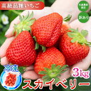 【ふるさと納税】【訳あり】冷凍スカイベリー3kg (500g×6) | 生産者直送 高級品種 無選別訳あり 冷凍 いちご 栃木県壬生町産 果物 フルーツ 苺 イチゴ スムージー ジャム 不揃い