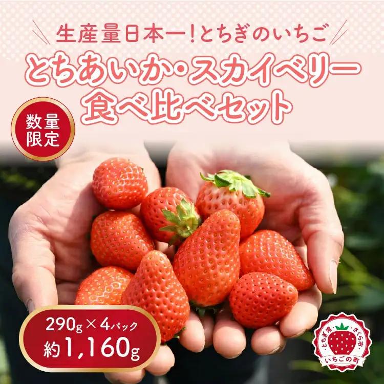 いちご とちあいか・スカイベリー食べ比べセット（290g×4パック）※2027年1月～発送