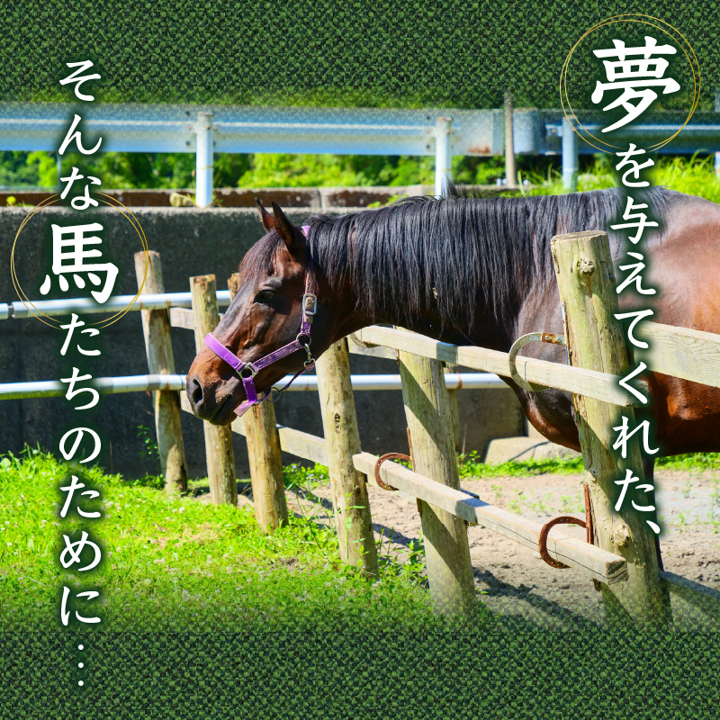 【返礼品なし】 競走馬 引退馬はどこへ？ 黒潮友馬会応援 【8千円コース】
