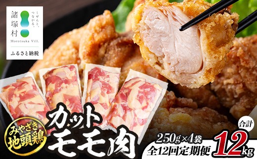 
                  【定期便全12回】みやざき地頭鶏 カットモモ肉 250g×4P×12回 冷凍｜家庭応援 鶏肉 地鶏 モモ肉 カット肉 唐揚げ 焼き鳥 チキン南蛮 じとっこ 真空パック 小分け カット済み 定期便 12ヶ月 1年間 毎月 連続 家庭用 家事応援 興洋開発株式会社 宮崎県 諸塚村 KY-32
                